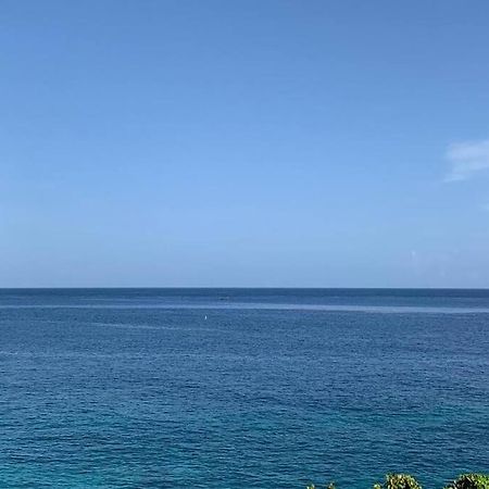 Irie Vibes Ocean View Villa เนกริล ภายนอก รูปภาพ
